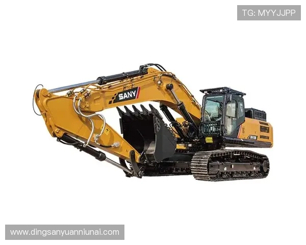 挖掘机品牌：三一重工崛起